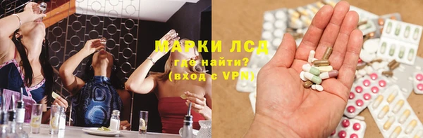 прущие грибы Магас