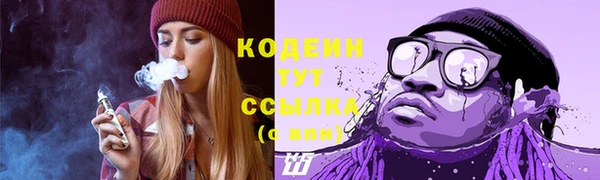 хмурый Липки
