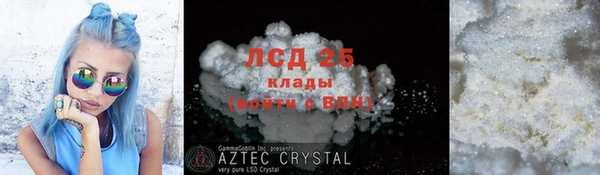 хмурый Липки