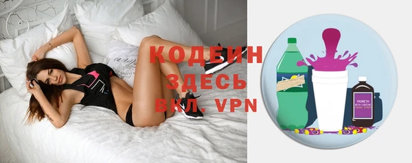 хмурый Липки